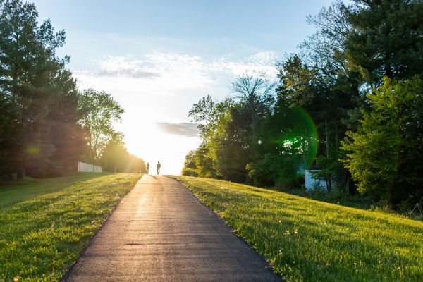 Cost of Asphalt Pathway Installation in Charlotte