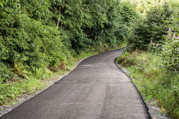 Asphalt Driveway Replacement in Charlotte